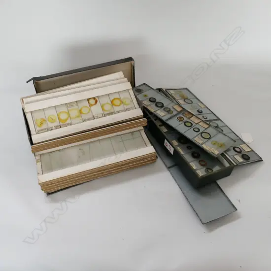 2 BOXES OF VINTAGE MICROSCOPIC SLIDES: GENERAL PHYSIOLOGY AND BOTANY